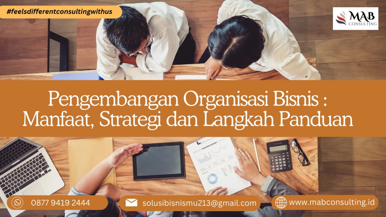 Pengembangan organisasi bisnis